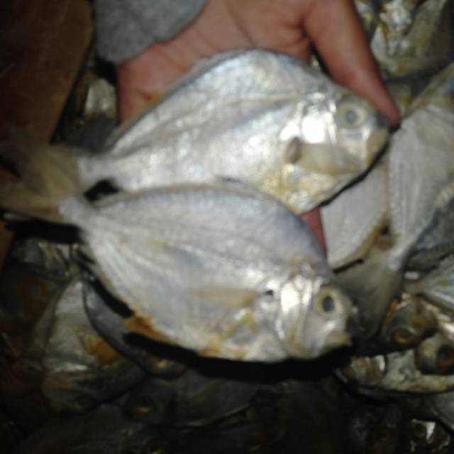 

Ikan asin petek