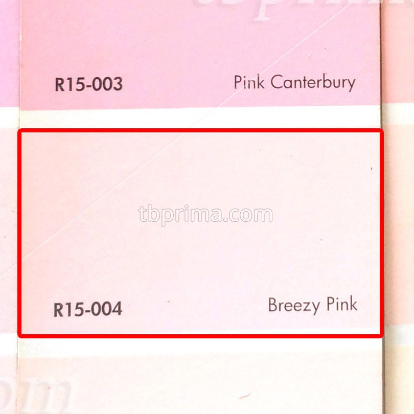 No Drop Tinting R15-004 Breezy Pink 1 kg