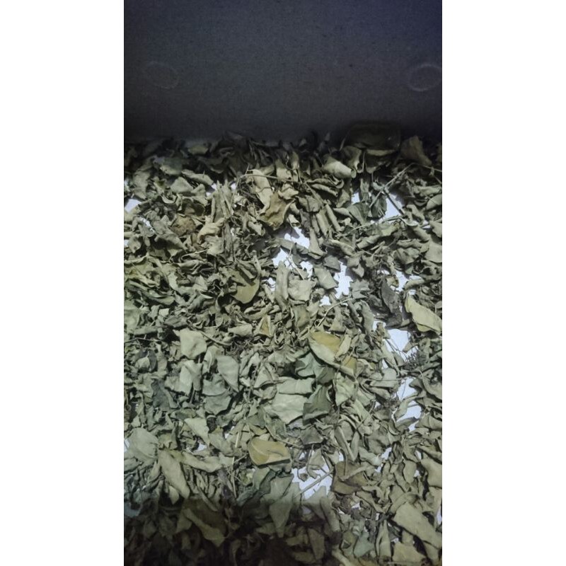 

Daun kelor kering/moringa
