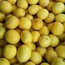 

JERUK LEMON FRESH 1KG