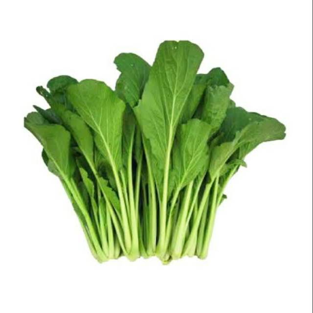 

Sawi Hijau 1 ikat | Sayuran Segar - Bumbu Masak - Bumbu Dapur Rindu Sayuran Cimahi