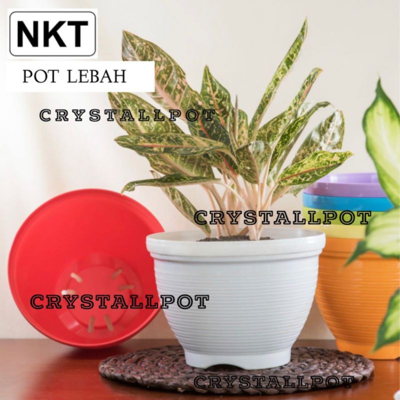 Pot bunga lebah warna warni 15cm