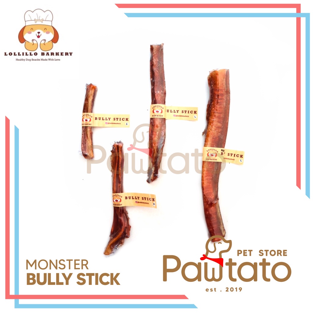 Snack Anjing Lollillo Monster Bully Stick Dog Chewing Tebal Urat Sapi Pawtato Pet Store