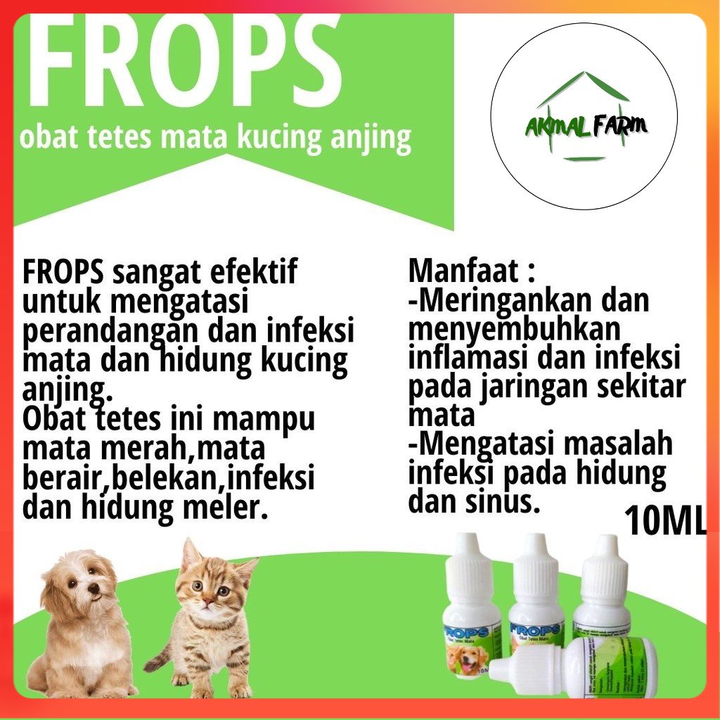 Obat Tetes Mata Kucing Kelinci Anjing Mata Iritasi Mata Belekan