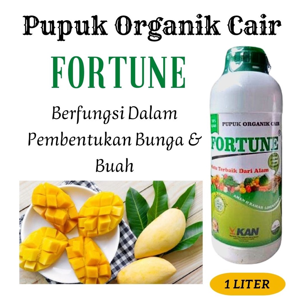 Pupuk Mangga Manalagi Arumanis Manalagi, Pupuk Perangsang Bunga dan Buah Mangga TERBAIK