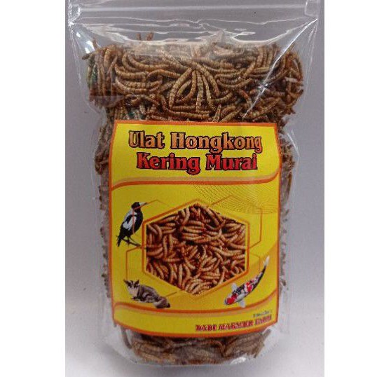 100gr ulat hongkong kering pakan sugar gilder landak mini hamster gecko iguana burung kicau