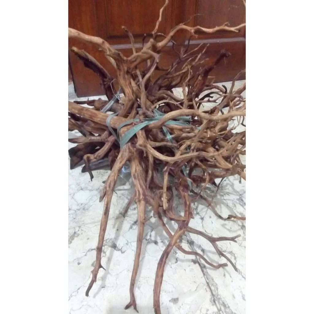 OPEN SALE KAYU AQUASCAPE AKAR RASAMALA KUPAS