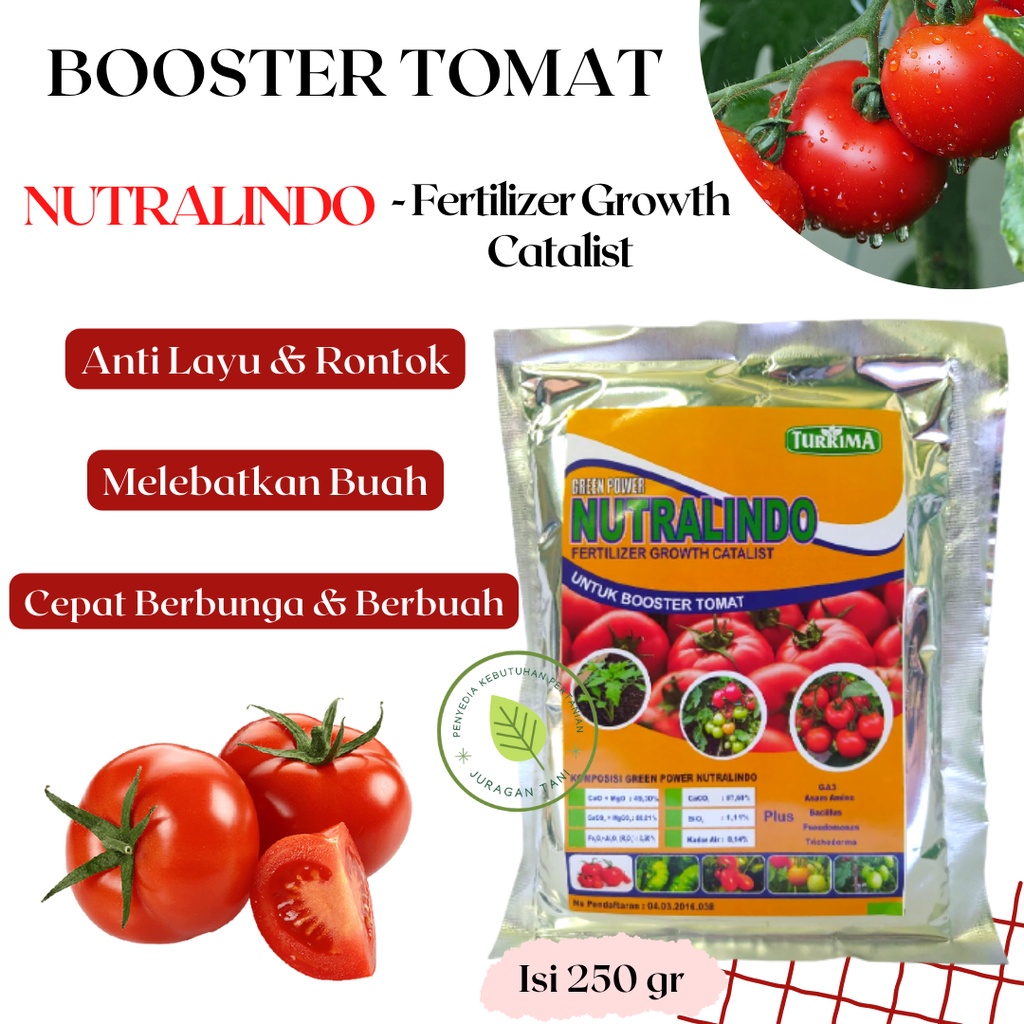 Jual Pupuk Organik Tomat, Booster Tomat Cepat Berbunga Dan Berbuah