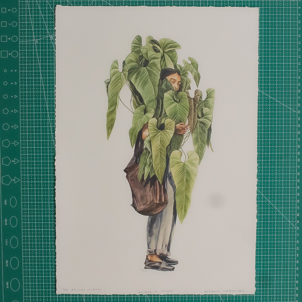 Artprint Antherium Insigne karya Bamb (tanpa frame)