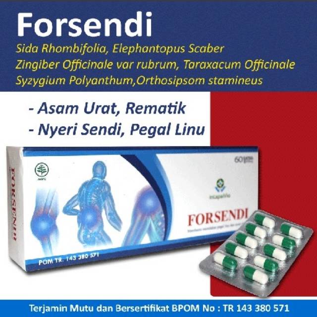 

FORSENDI Obat Asam Urat, Rematik, Nyeri Sendi
