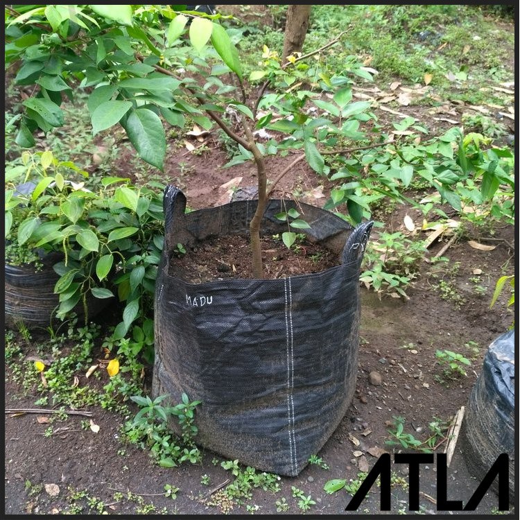 RPM Planter Bag 75 Liter Wadah Kantong Pot Bibit Benih Tanaman Hitam KP018