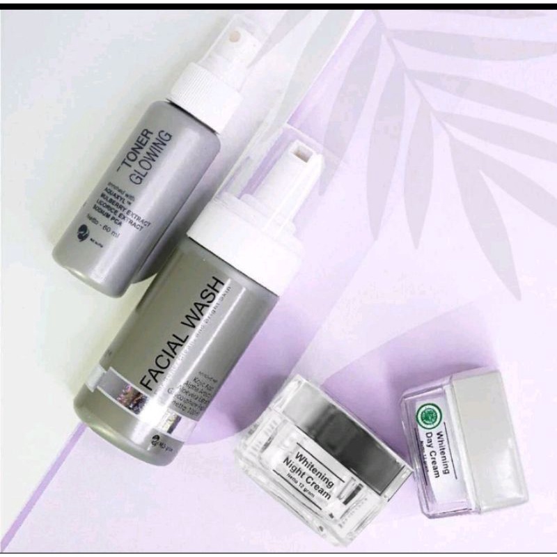 PAKET MS GLOW WHITENING PAKET SKINCARE KECANTIKAN