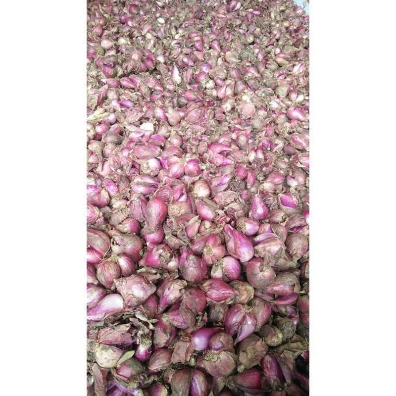 

Bawang merah brebes 250g/500g/1000g