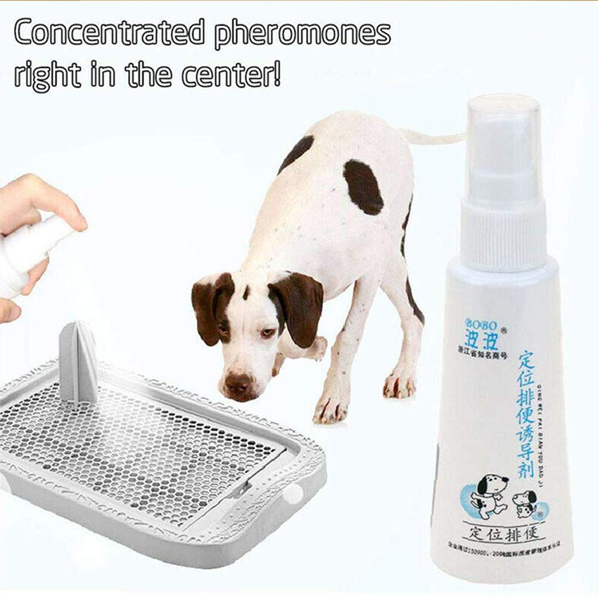 Image of 60ML Puppy Training Spray Semprot Latih Pipis Anak Anjing Potty Training Toilet Pet Dog Inducer #2