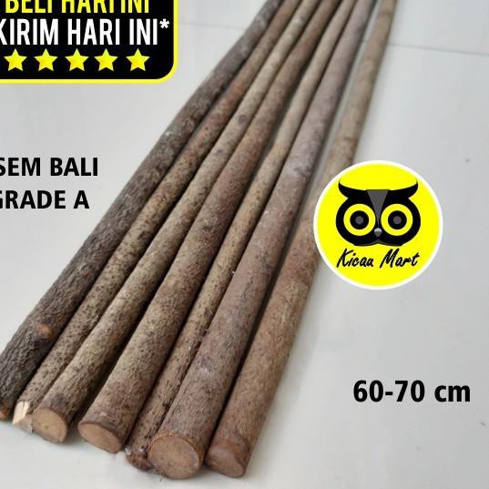 Terbaru 4.4 TANGKRINGAN KAYU ASEM BALI PANGKRINGAN KAKI UNTUK SANGKAR KANDANG BURUNG MURAI KOTAK LOV