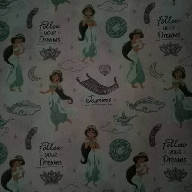 

Kertas Kado Sansan Wawa SW 5343 - Disney Princess Jasmine Aladdin