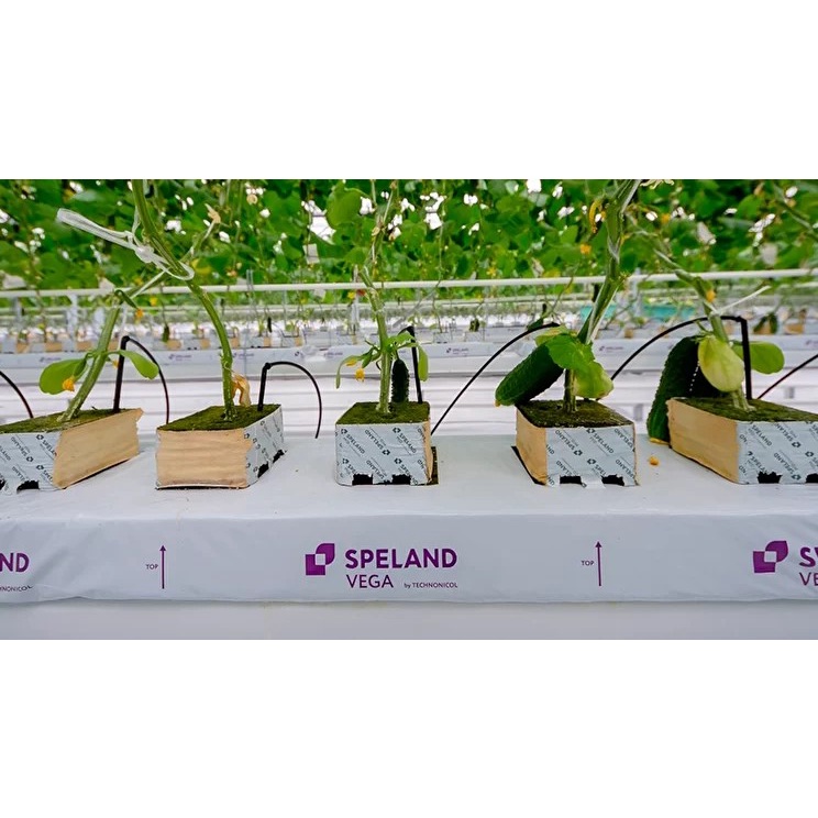 Rockwool Vegetation Mats SPELAND VEGA 2,5x2,5x2,5cm 24 potong -1pcs