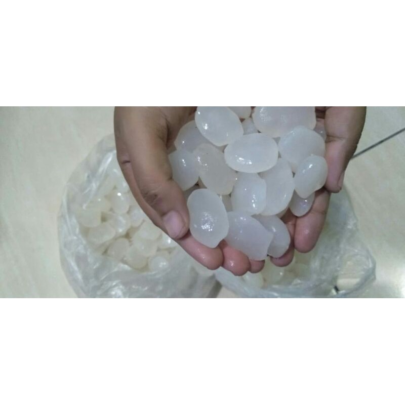 

Kolang Kaling Mentah / Buah Atep warung Hadi 1kg