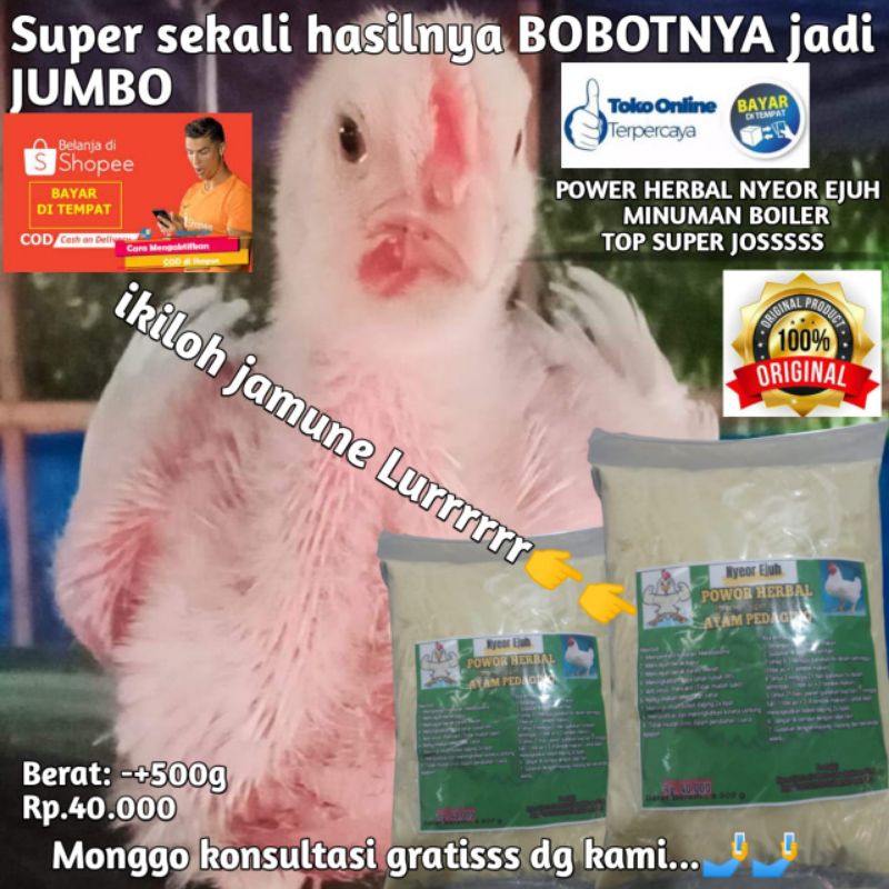 jamu tradisional nyeor ejuh vitamin super josss untuk ayam pedaging