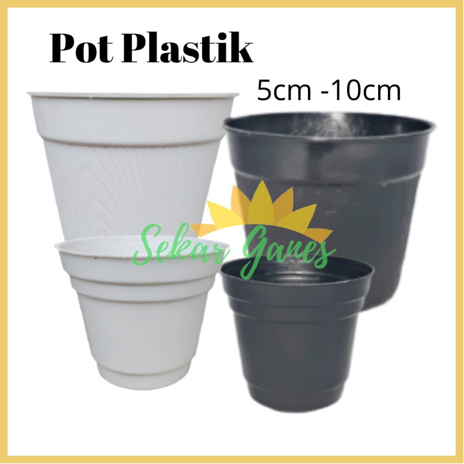 Pot Kaktus Mini Pot Hitam 5cm ,8cm dan 10cm