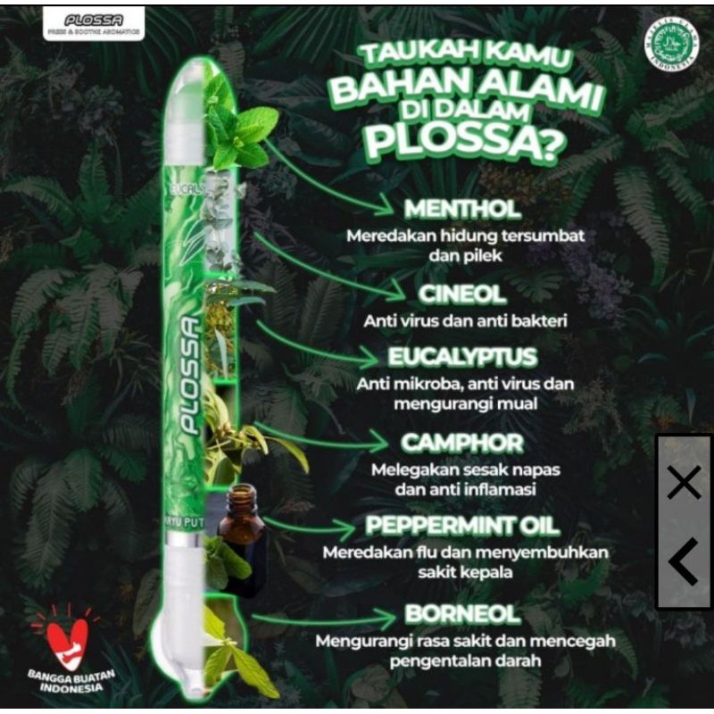 Plossa Minyak Angin Aromaterapi 10 ml Ready all varian