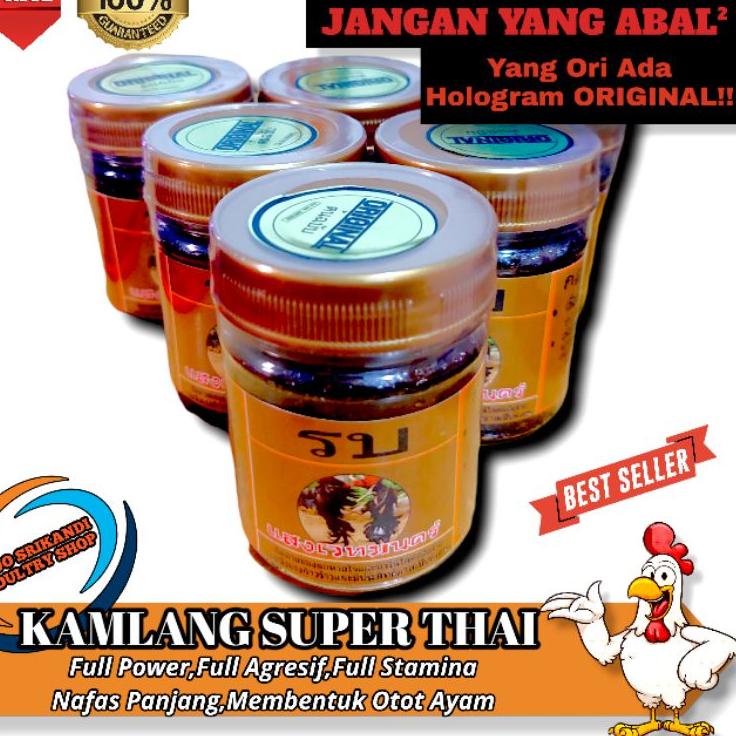 (VIRAL) KAMLANG SUPER THAI ORIGINAL - full power dan energy ayam aduan agresif