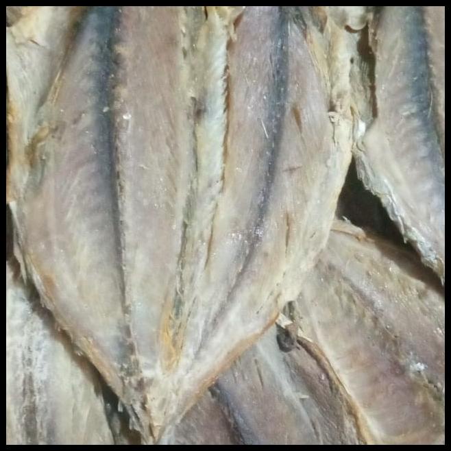 

Ikan Asin Tongkol Utuh Per 1Kg