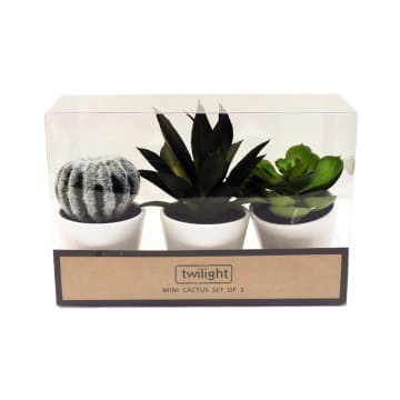 Tanaman Kaktus Artificial Informa