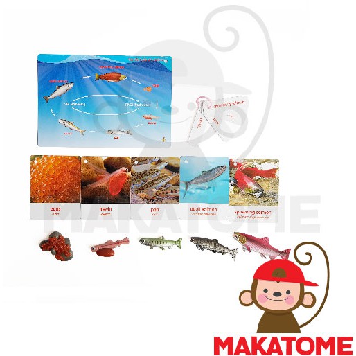 Life Cycle Figurine Siklus Hidup - salmon figurin ikan