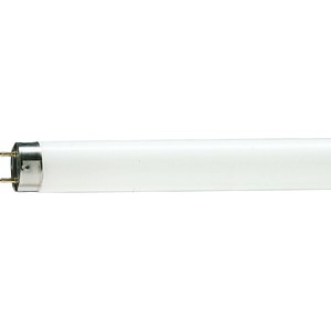 PHILIPS TL-D 36W / 54-765 - Lampu Neon 1200mm - KHUSUS OJOL