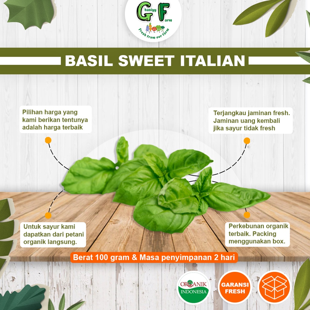 

Sayur Organik Basil Selasih Fresh Segar Daun Herbal Rempah Penyedap Rasa