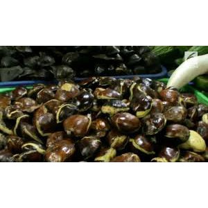 

Jengkol 500gr
