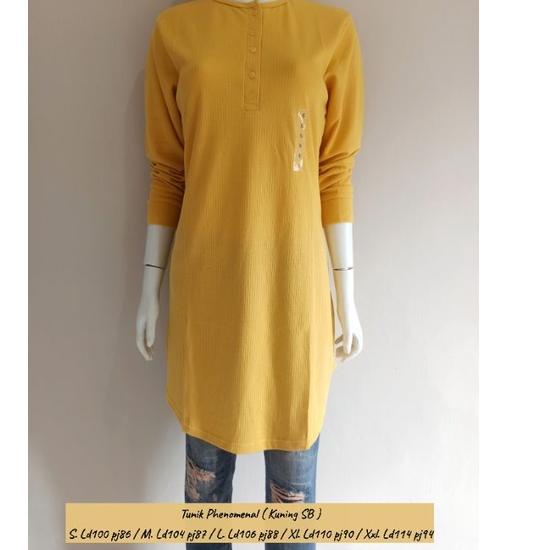 Tunik Phenomenal chisel busui/nonbusui [LAK.01Jl22ᵛ]