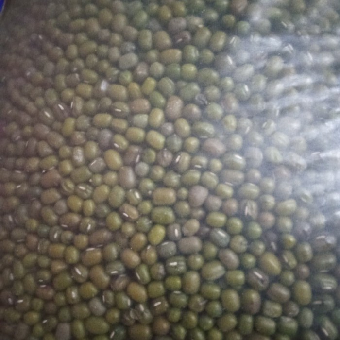 

Q1254521 Kacang Hijau 250 Gr Dw51Sqs