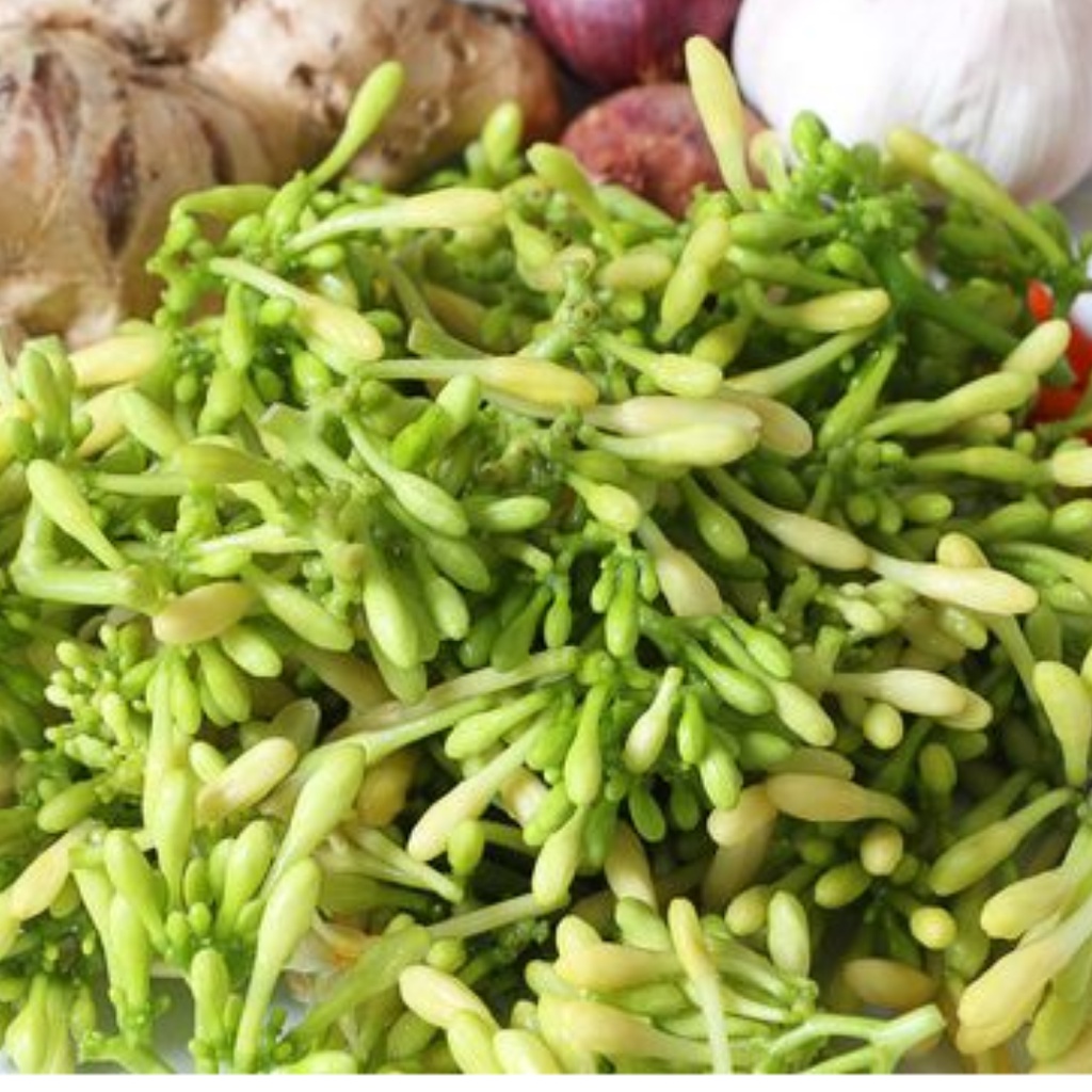 

Bunga Pepaya Segar Bunga Pepaya Untuk Tumisan Sayur Segar Cikarang