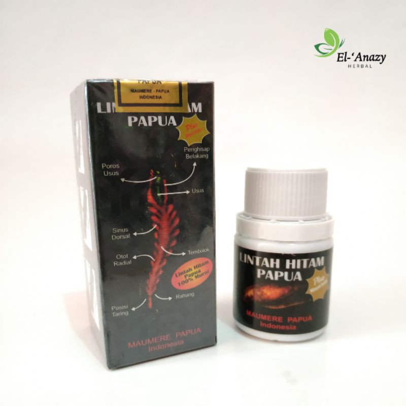 Minyak Lintah Papua 100% ORI Minyak Daun Bungkus Papua