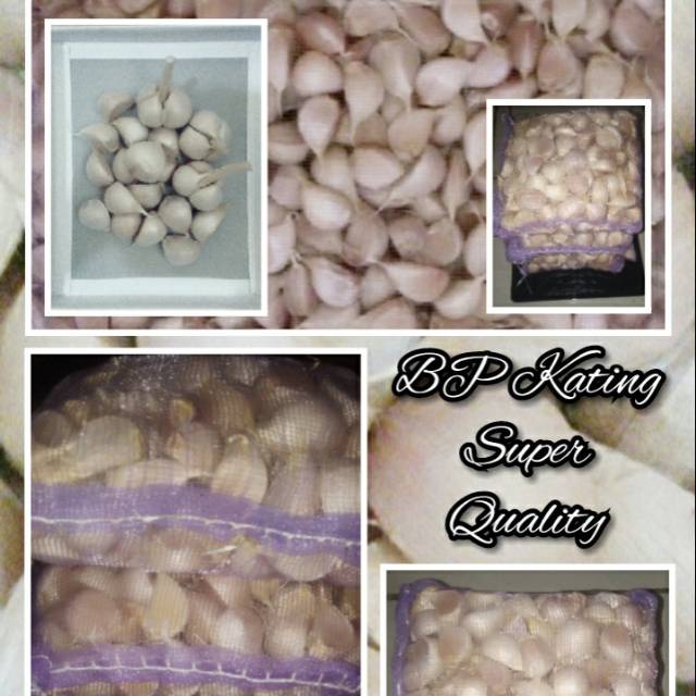 

Bawang Putih Kating/Kg