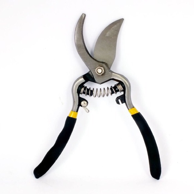 Gunting Stek Batang Dahan Pohon Bison Stainlesa Steel Pruning Shears