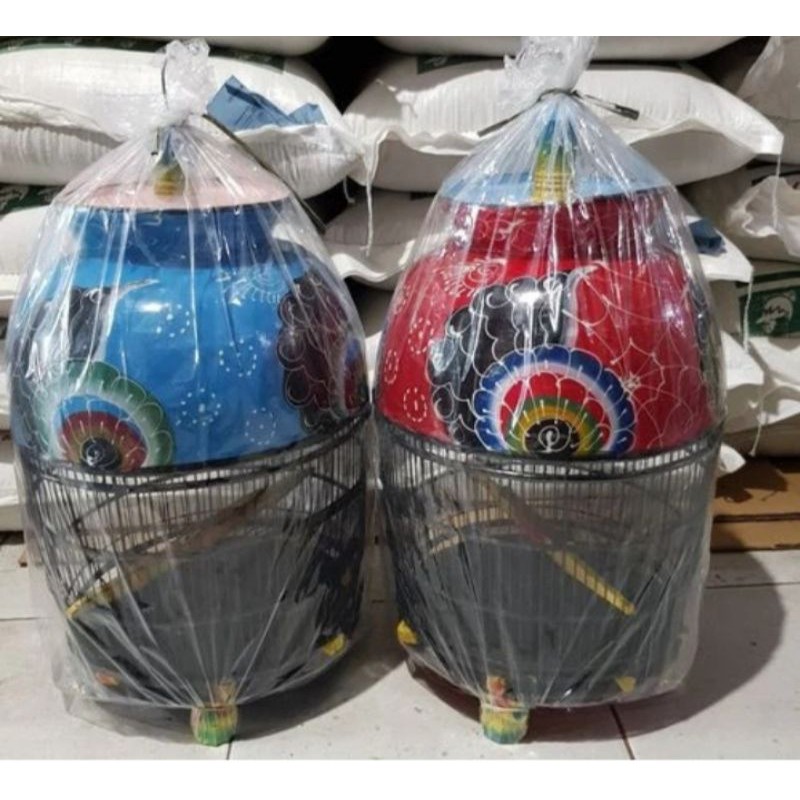 kandang burung perkutut murah