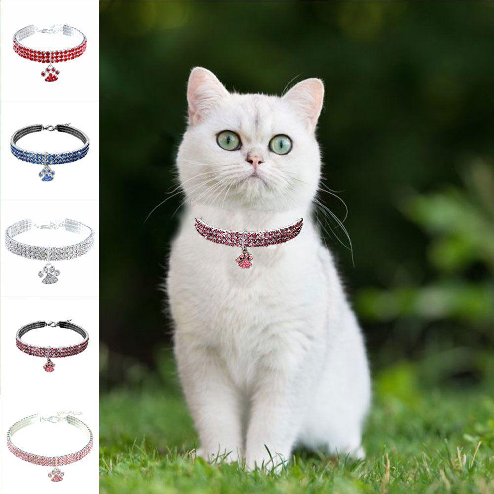 Solighter Collar Fashion Multicolor Variasi Kucing Dan Anjing