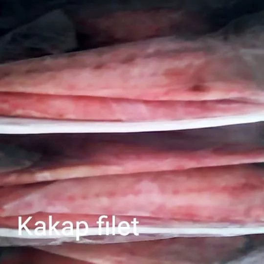 

Ikan Kakap Fillet Merah Premium Quality 1000gram/kg