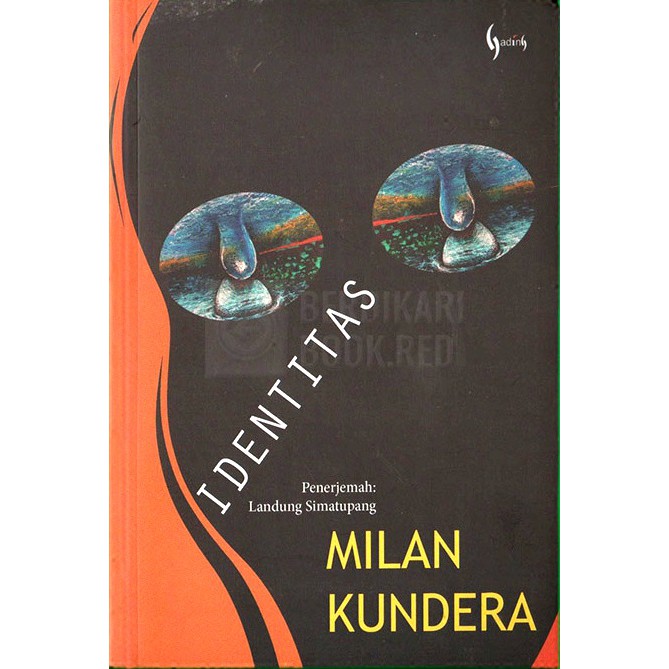 Buku Identitas Novel Karya Milan Kundera