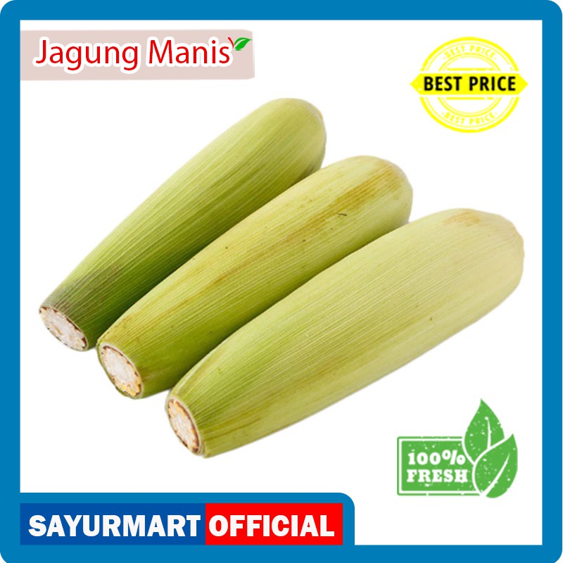 

Jagung Manis Madu Fresh Kulit [1 pcs]