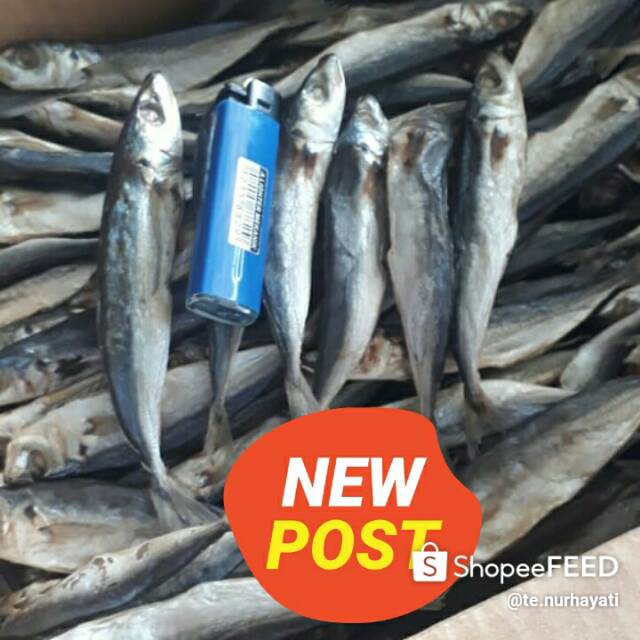 

Ikan asin layang