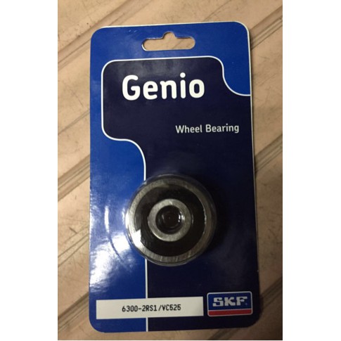 SKF Bearing/Lahar 6300-2RS1/VC525