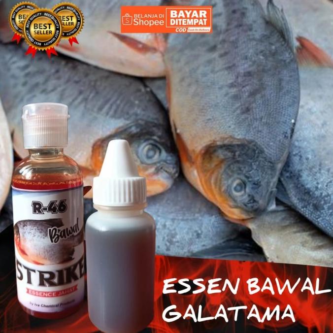 Essen Pancing Ikan Bawal/Essen Jahat/Essen R-46/Essen Siang Malam Sae