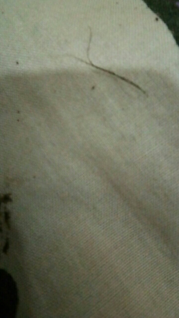 Lion Star Refill Livina Spin Mop Bm-50 / Kain Lap Pel Lionstar Bm-42 , Bm-45, Bm-46 Dan Bm-47