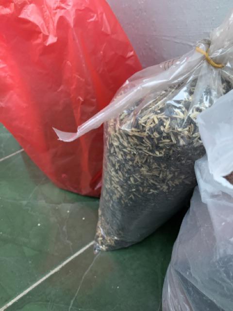 Pupuk Kompos Kotoran Kambing