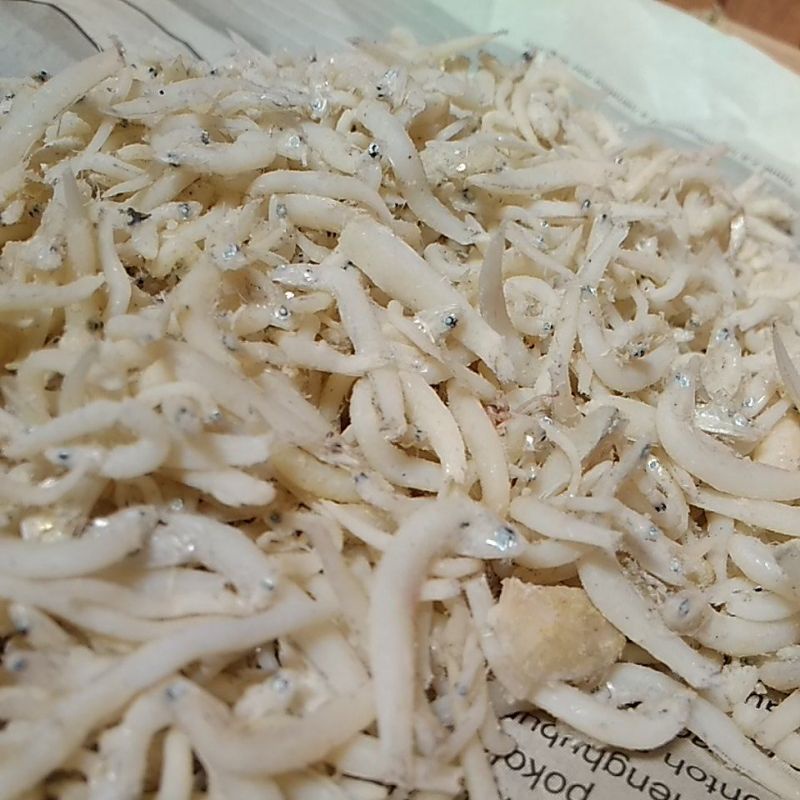 

Teri Medan Asli. Kualitas premium