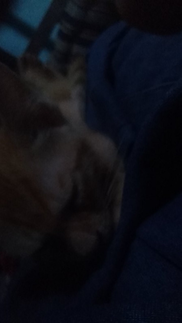 Teko Pinguin / Teko Termos Vacuum Anti Panas 1 Liter